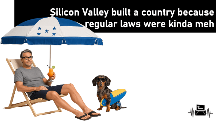 Silicon Valley built a country because regular laws were kinda&nbsp;meh